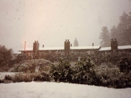stanford-inn-mendocino-ca-legacy-7
