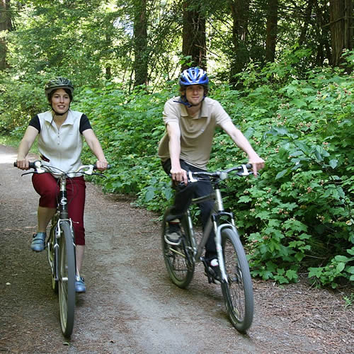 mendocino resort at the stanford inn - bicycles