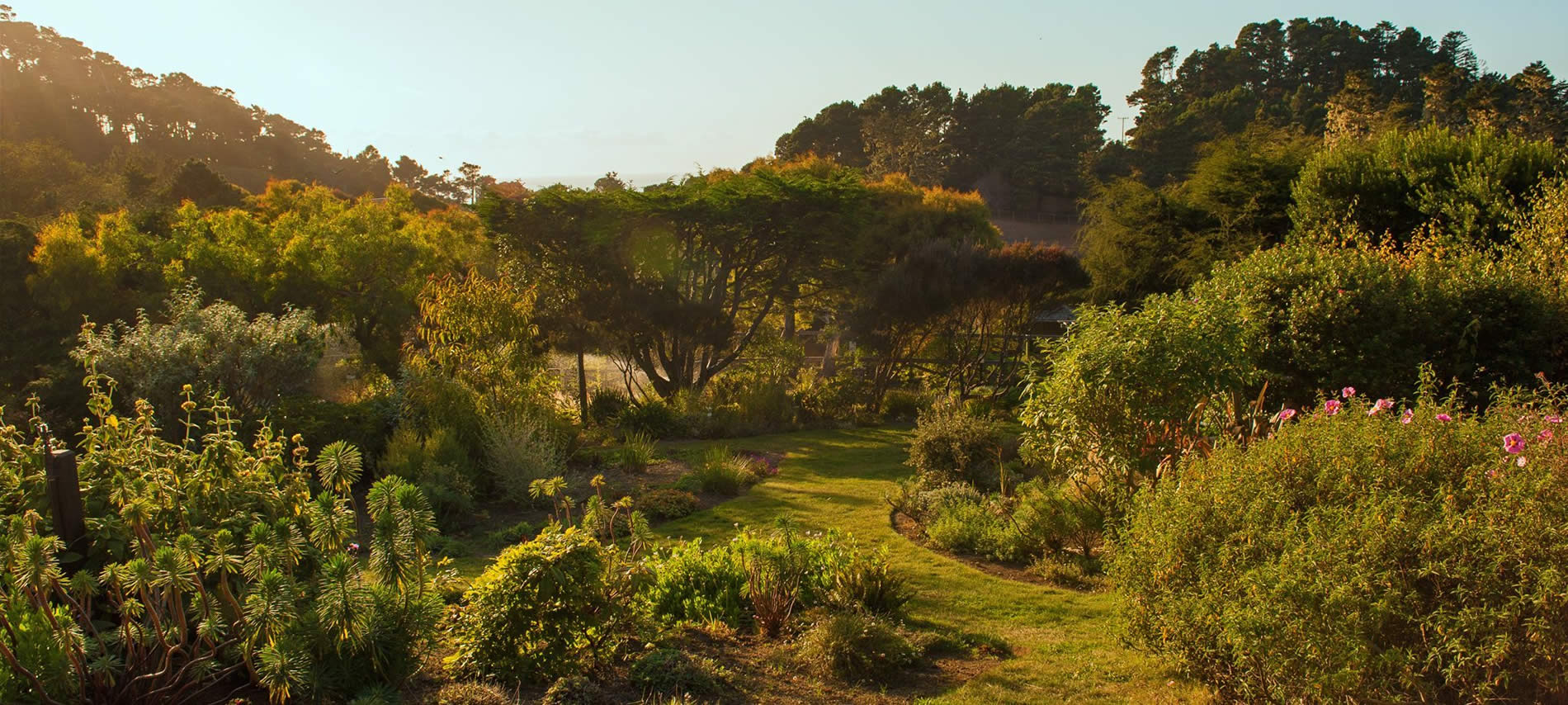 stanford inn mendocino lush gardens for vegan retreat
