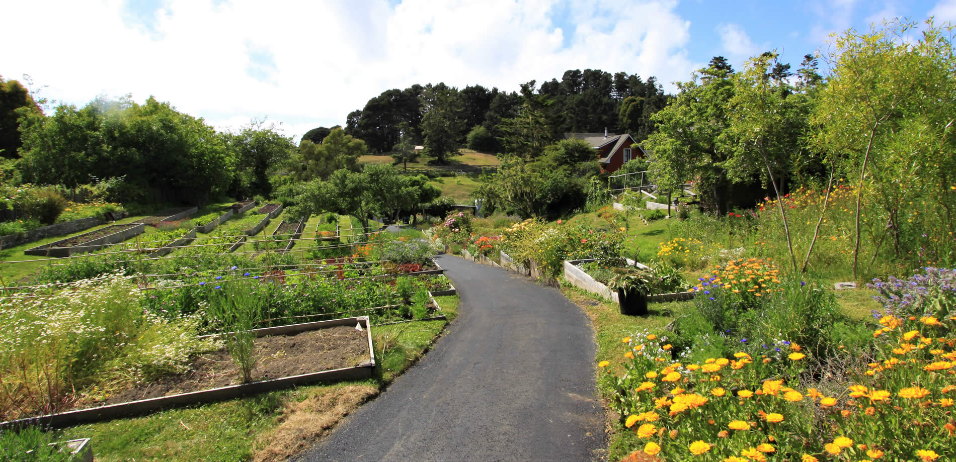 mendocino organic gardens
