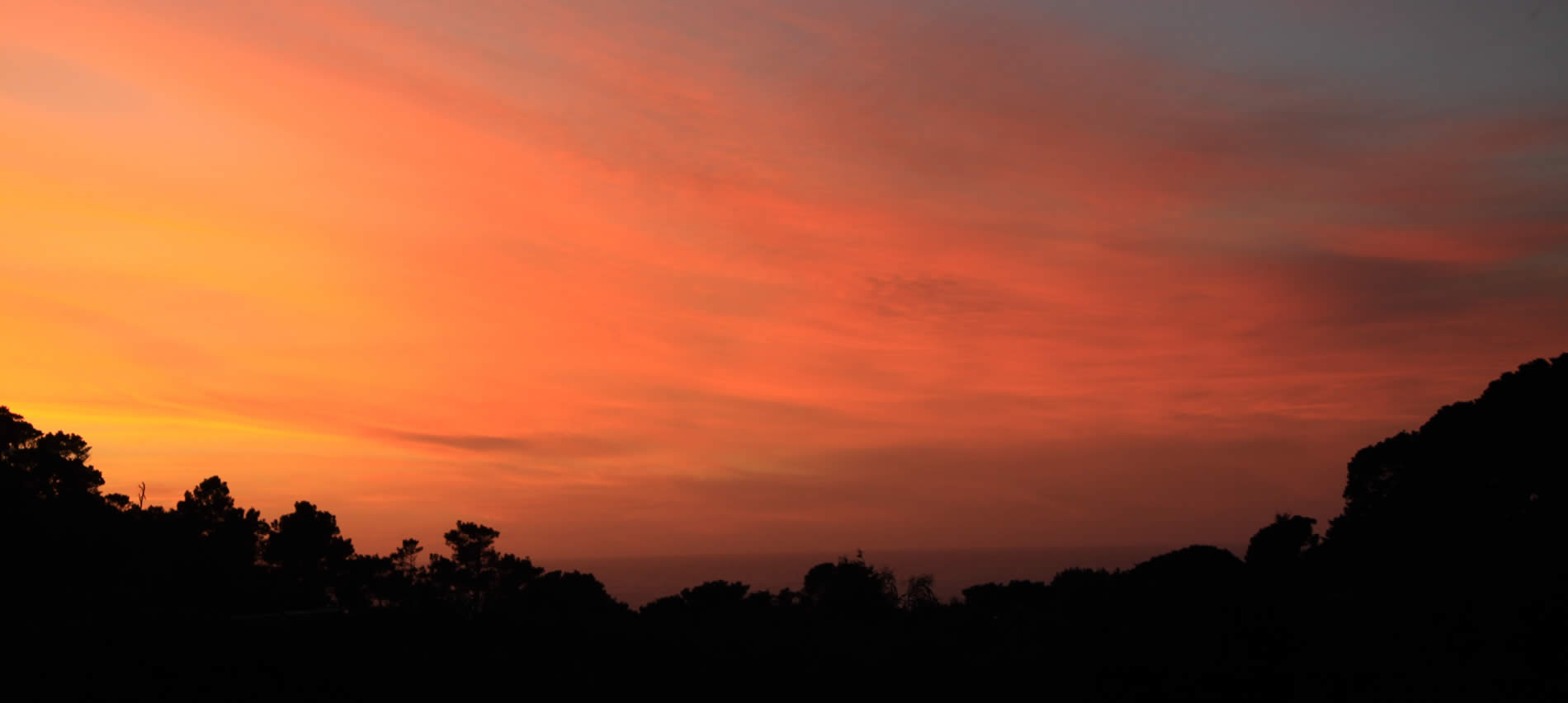 mendocino sunset