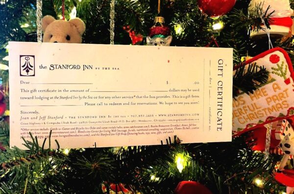 The Stanford Inn & Resort Gift Certificates