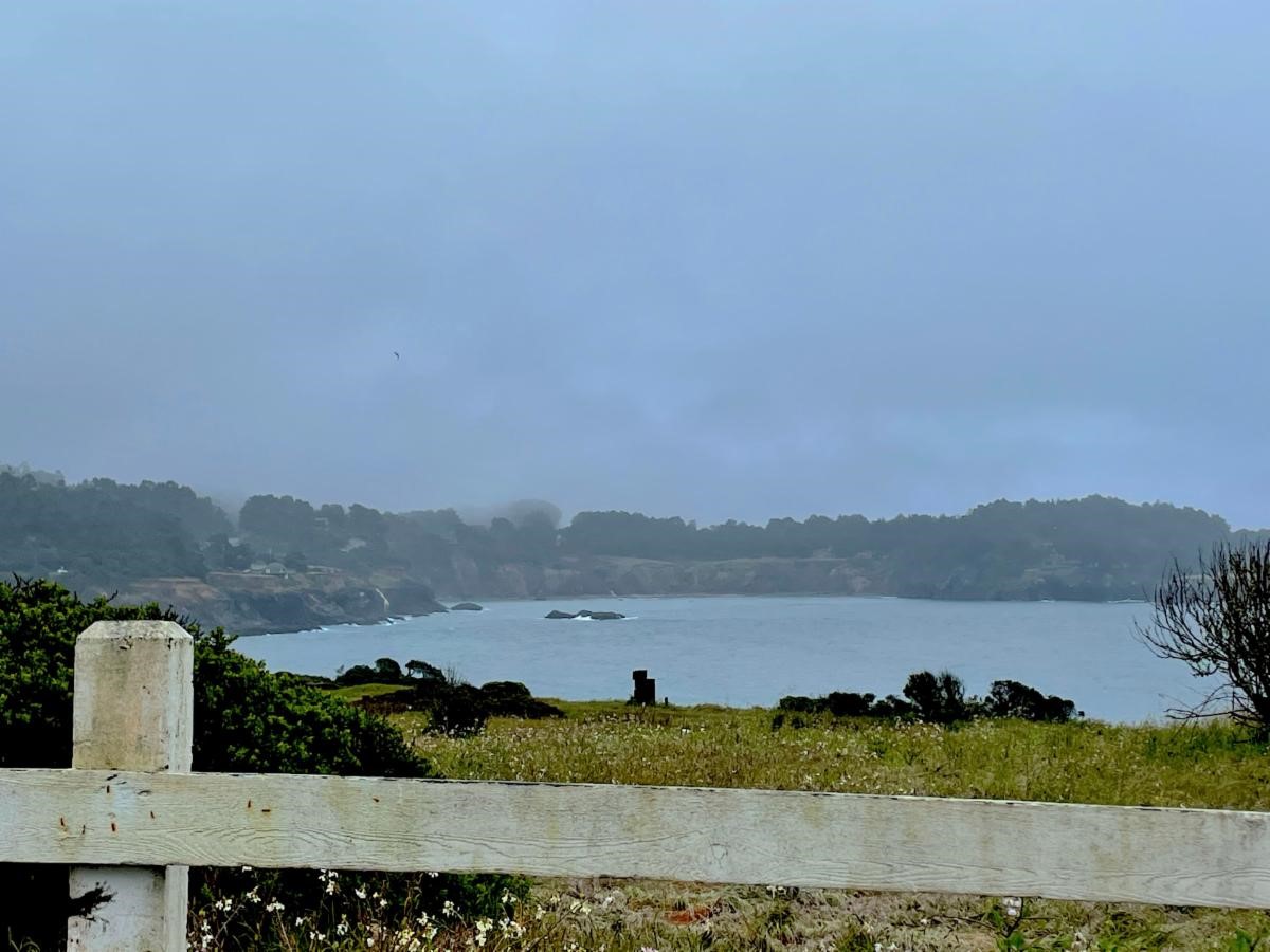 view from bluffs overlooking Mendocino Bay