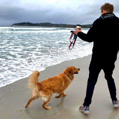 mendocino dog friendly stanford Inn dog at beach