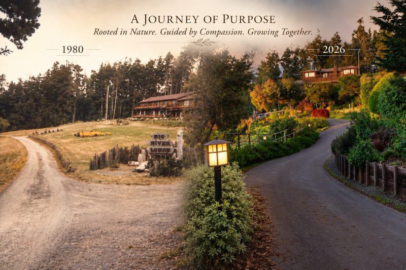 stanford inn mendocino 26 year legacy of hospitality with a sense of purpose