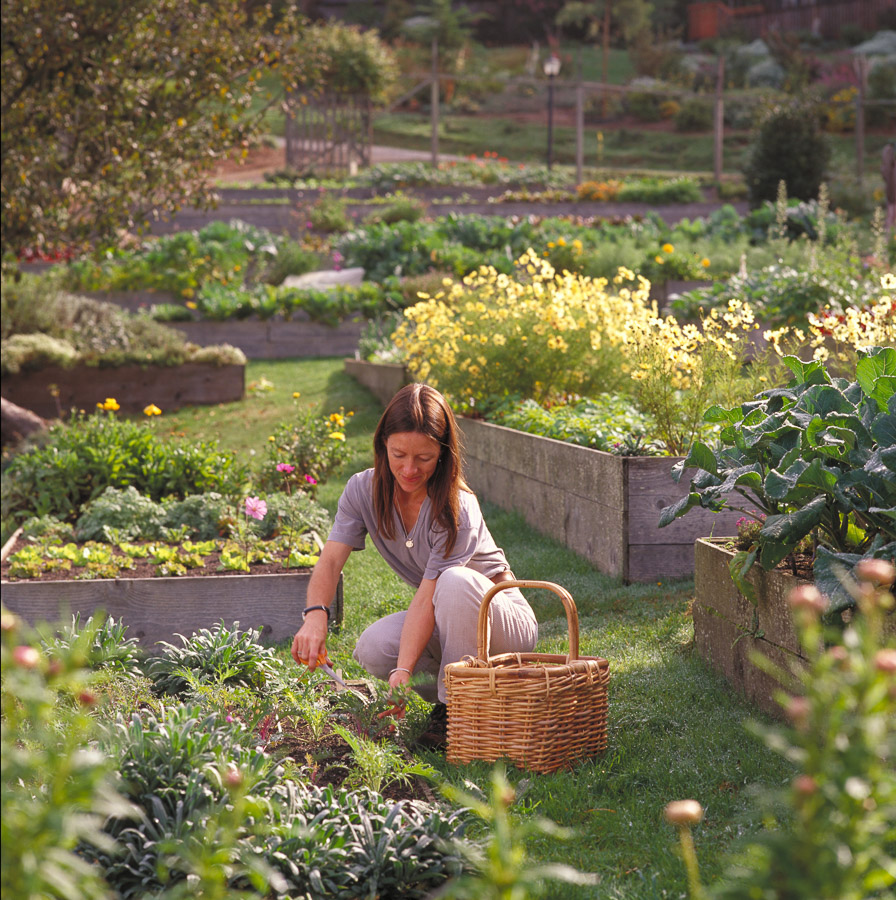 stanford inn organic gardens