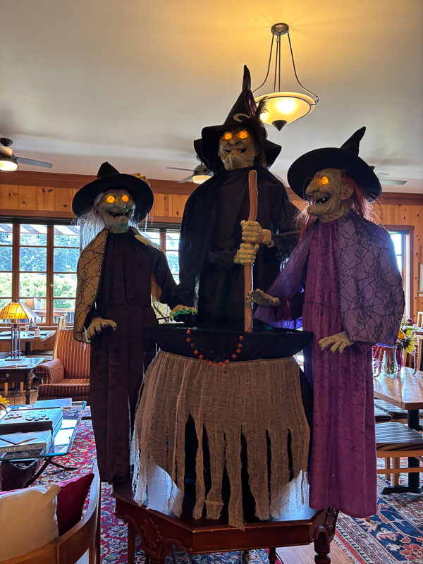 IMG_6371 halloween fun