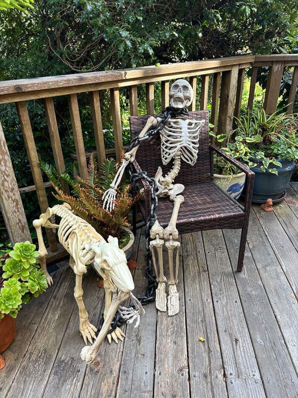 IMG_6376 halloween fun
